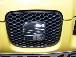 Cupra-Grill mitte